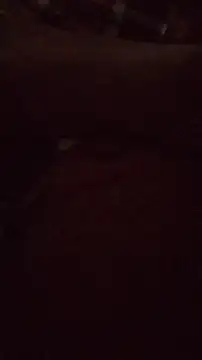 Snapshot of wanderboy1000 chatting on January 2026 03:05:02 PM wanderboy1000 online show from January 2026 03:05:02 PM