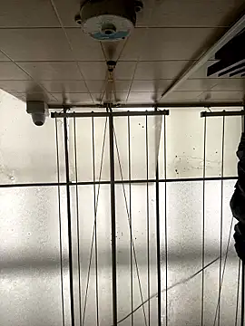 Sallem Pink online show from January 2026 11:25:01 AM