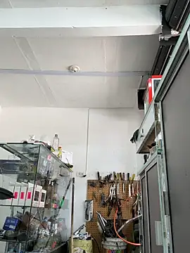 Terra-22cm online show from April 2026 05:02:02 PM