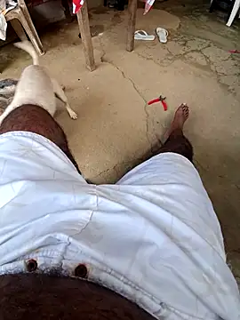 Snapshot of Negodabenga chatting on July 2026 12:09:01 PM Negodabenga online show from July 2026 12:09:01 PM