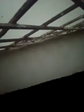 Snapshot of Daisygirl9 chatting on October 2025 09:36:02 PM Daisygirl9 online show from October 2025 09:36:02 PM