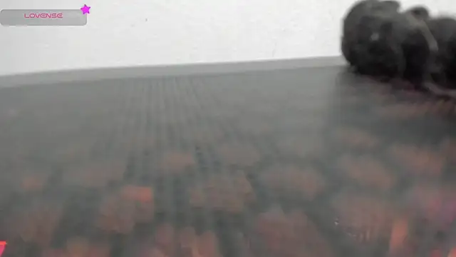 Snapshot of FluffyMelons chatting on April 2026 11:02:02 PM FluffyMelons online show from April 2026 11:02:02 PM