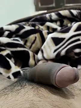 Bull54321 online show from February 2026 06:54:01 AM