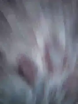 Aliyeni1 online show from April 2026 12:08:02 PM