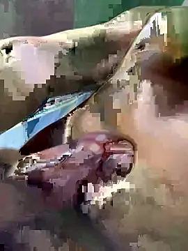 Snapshot of Huynh-duc-huy chatting on February 2026 07:24:02 AM Huynh-duc-huy online show from February 2026 07:24:02 AM