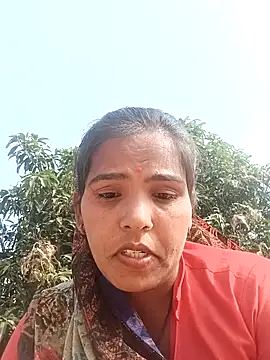 Cut rajbati online show from November 2025 08:35:02 AM