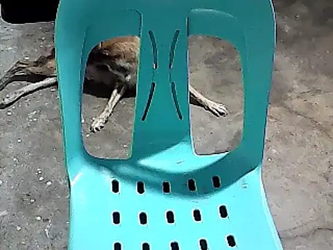 sexyannie25 online show from November 2025 06:18:01 PM