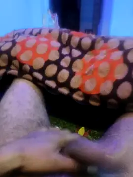 Snapshot of pppppp7811 chatting on February 2026 05:43:01 PM pppppp7811 online show from February 2026 05:43:01 PM