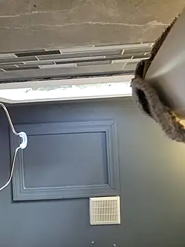 Snapshot of chocolate_bella chatting on March 2026 12:49:01 PM chocolate bella online show from March 2026 12:49:01 PM