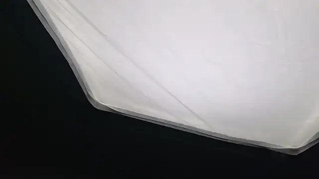 Snapshot of Sabina_Ros chatting on February 2026 07:51:02 AM Sabina Ros online show from February 2026 07:51:02 AM