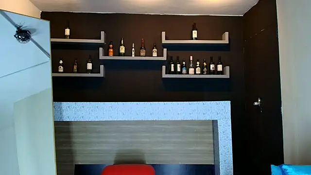 Snapshot of _DantFox_ chatting on October 2025 08:52:02 PM DantFox online show from October 2025 08:52:02 PM