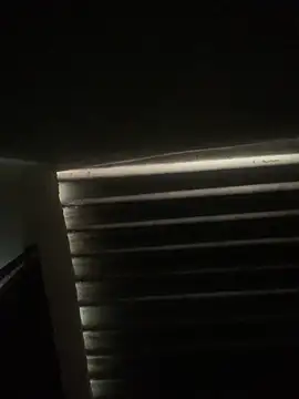 envolvemteX online show from March 2026 10:17:02 AM