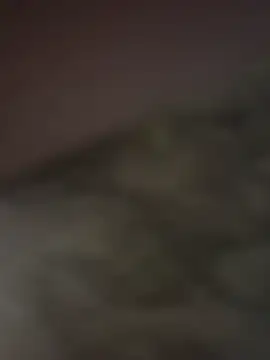 Snapshot of gigoloboymumbai00 chatting on October 2025 08:07:01 PM gigoloboymumbai00 online show from October 2025 08:07:01 PM