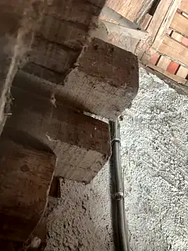 fcach2244 online show from September 2025 08:25:01 AM