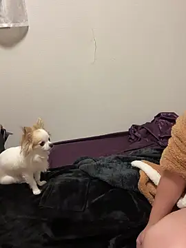 h415a812 online show from November 2025 07:35:02 PM