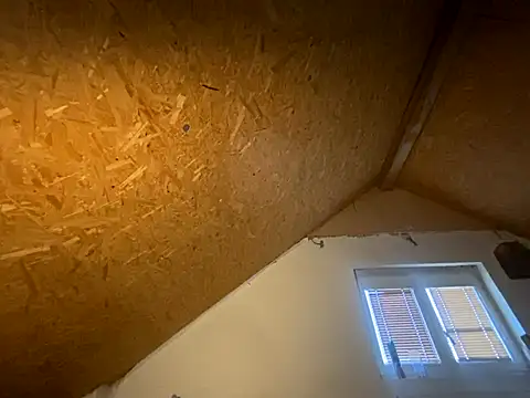 Salon1986 online show from November 2025 03:01:01 PM