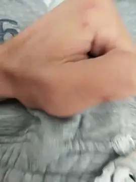 Snapshot of Tolgaistanbul34 chatting on October 2025 12:58:01 PM Tolgaistanbul34 online show from October 2025 12:58:01 PM