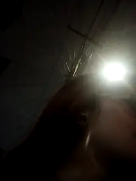  Alaskamisa online show from November 2025 01:15:02 AM