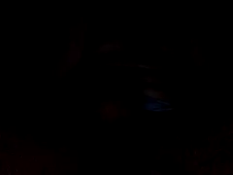 CaiBull online show from October 2025 08:48:02 PM