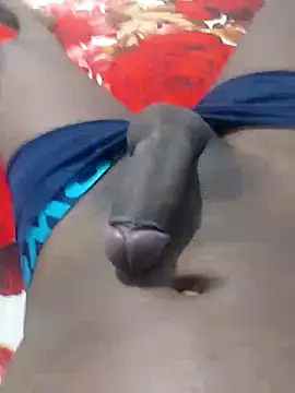 gatooo preto online show from January 2026 05:28:02 PM