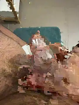 meta dili online show from January 2026 04:09:02 PM