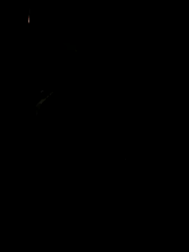 Snapshot of koukou322 chatting on November 2025 10:06:02 AM koukou322 online show from November 2025 10:06:02 AM