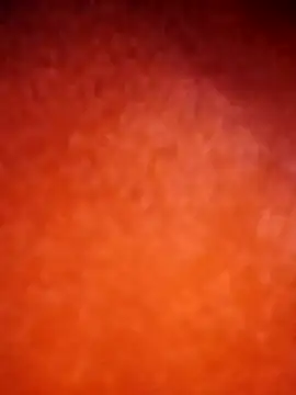 amolicars online show from November 2025 07:45:02 PM