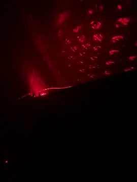 dung17486 online show from February 2026 01:51:02 PM