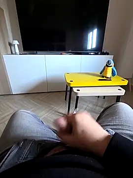 Snapshot of sonic197501 chatting on February 2026 08:16:02 AM sonic197501 online show from February 2026 08:16:02 AM