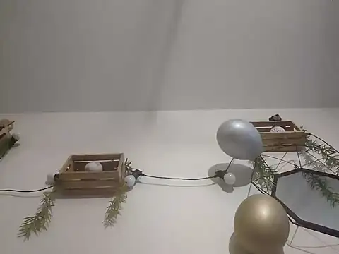 nousmeme0123 online show from February 2026 02:52:01 AM