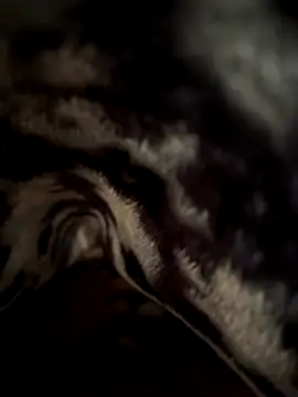 Snapshot of jackyw chatting on November 2025 06:12:01 AM jackyw online show from November 2025 06:12:01 AM