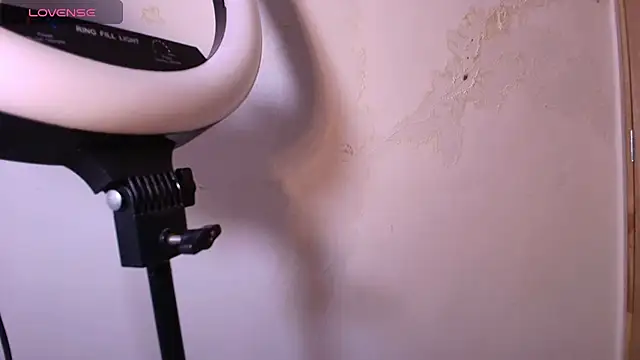 Terraelowen online show from November 2025 11:35:01 AM