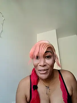 Snapshot of iamlalamilano chatting on February 2026 01:54:02 PM iamlalamilano online show from February 2026 01:54:02 PM