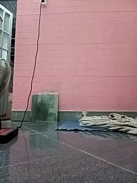 Snapshot of Rose_194 chatting on October 2025 02:56:02 PM Rose 194 online show from October 2025 02:56:02 PM