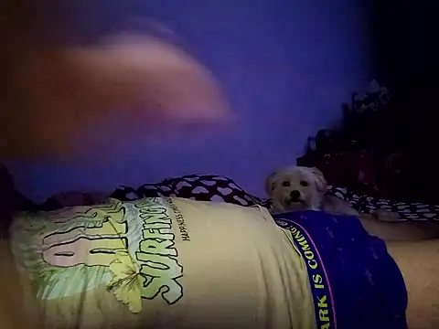 Alexandra23d online show from October 2025 09:22:01 PM