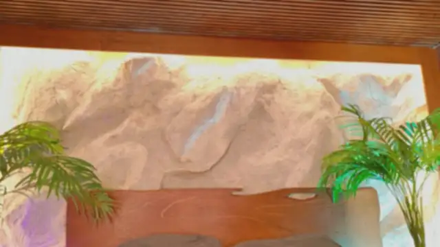 alisonn moon online show from March 2026 10:38:02 PM