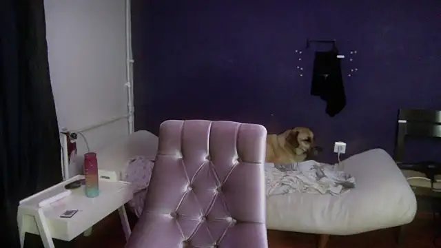 turkishTransEfsun online show from October 2025 03:35:01 AM