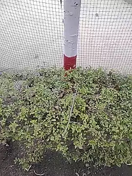 monty935 online show from December 2025 11:41:02 AM