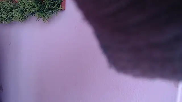 IVONNE COLLINS33 online show from September 2025 01:47:01 PM