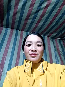 Bliss rose online show from November 2025 02:14:01 AM