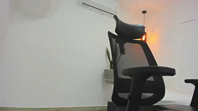 damian bull online show from November 2025 08:33:02 PM