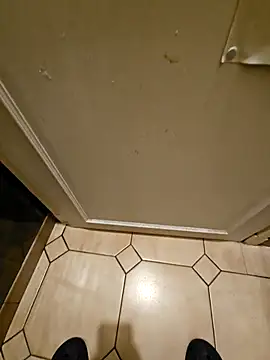 Stingles online show from October 2025 03:42:01 AM