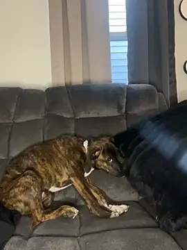 Snapshot of StableQuakers chatting on March 2026 12:22:01 PM StableQuakers online show from March 2026 12:22:01 PM