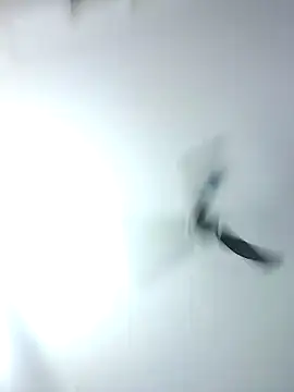 Kehar punjaban online show from September 2025 07:36:01 AM