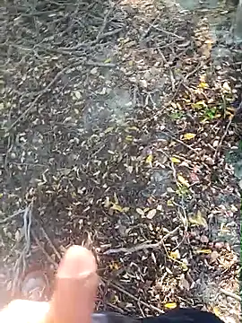 pegaso369 online show from October 2025 02:28:01 PM