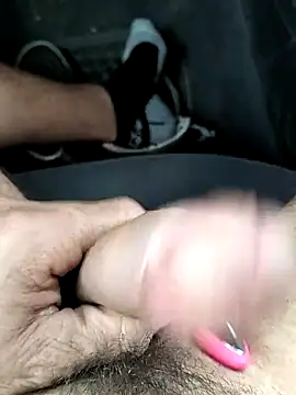 pegaso369 online show from May 2026 12:32:02 PM