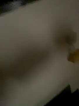 Snapshot of succy33 chatting on October 2025 07:41:01 AM succy33 online show from October 2025 07:41:01 AM