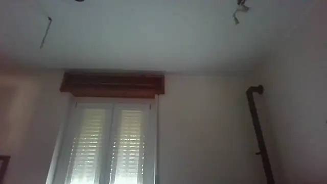 Lynceus online show from May 2026 04:52:02 AM