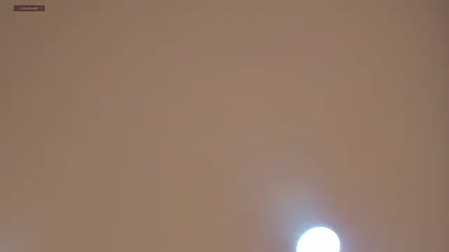 CharlotteBrownn  online show from June 2026 11:31:02 PM
