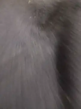 Snapshot of Funny_Karina chatting on December 2025 06:34:02 PM Funny Karina online show from December 2025 06:34:02 PM